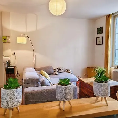 Le Cosy Sur Cour - T3 Hypercentre Angers