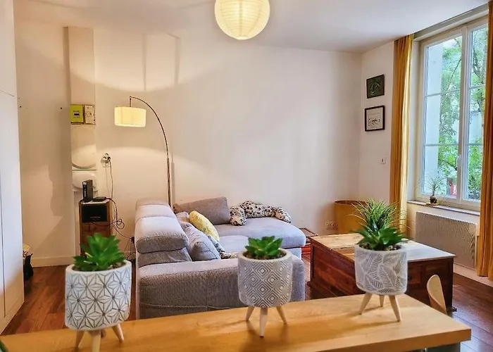 Le Cosy Sur Cour - T3 Hypercentre أنجير